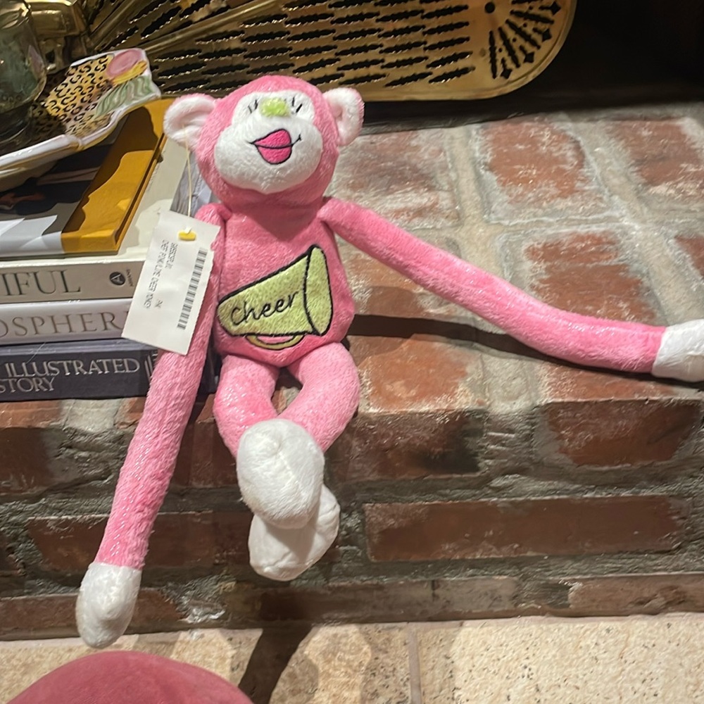 Chef pink lime cheer monkey